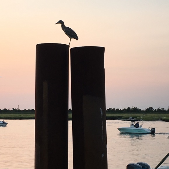 Meet your Posher, Susan - Picture 1 of 1